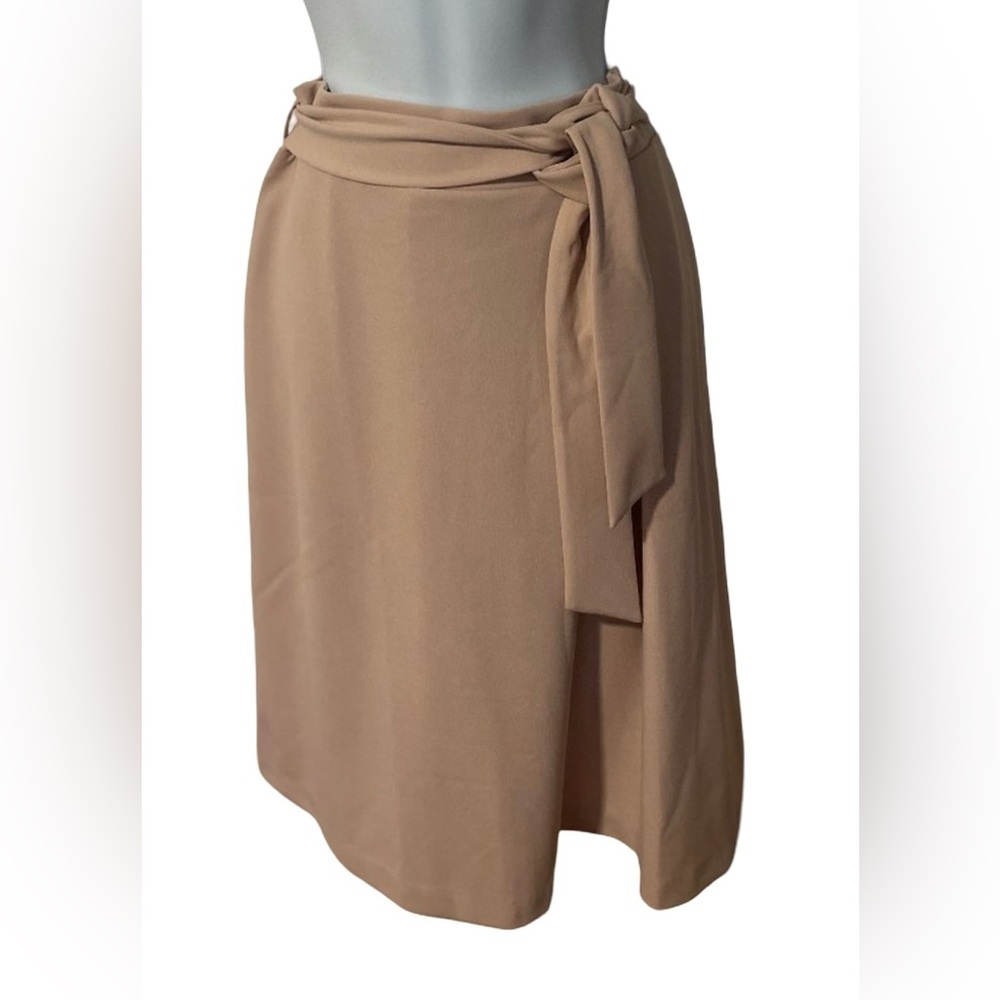 NWT Elegant blush colored skirt